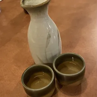 Hot Saki