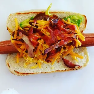 hot dog, food, hot dogs, sandwich