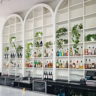 a row of shelves with bottles and plants