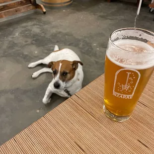 Beer and dogs!