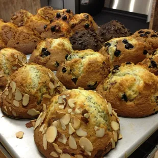 Variety of muffins fresh out of the oven.