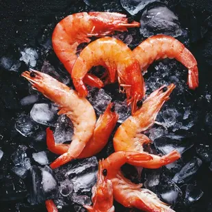 shrimp on ice