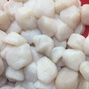 Fresh dry sea scallops