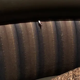 a lady bug crawling on a couch