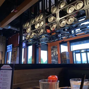 interior, oysters and mussels