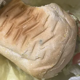 Mold