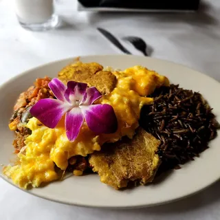 HAITIAN BLACK RICE