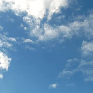 W G.