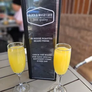 Mimosa