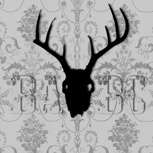 a deer skull with antlers