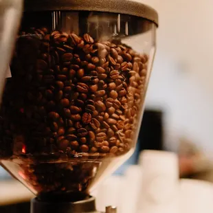 a coffee grinder filled with coffee beans