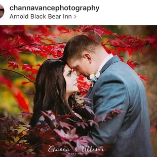 Beautiful fall colors! 10/21/17