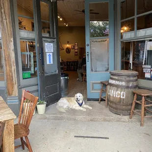 - was closing time so the owner didn&apos;t mind her setting up &quot;please Pet Me&quot; shop at the entrance after the restaurant guests departed.