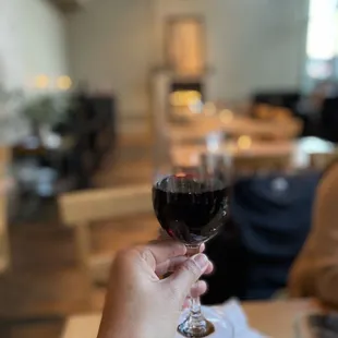 a person holding a glass of wine