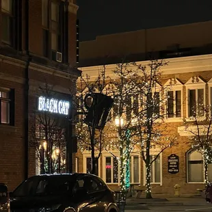 Black Cat in the night