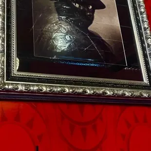 a cat in a hat and a birdcage