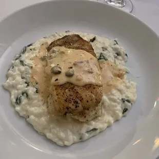 Grouper with spinach risotto &amp; lemon cream sauce