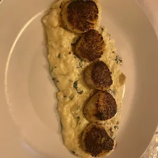 Scallops &amp; risotto