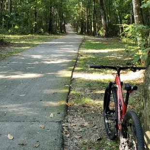 Paved area