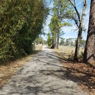 Runs parallel to US 17 - Some areas are open with a clear view of US 17