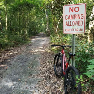 Old Paved Road that leads to the Creek