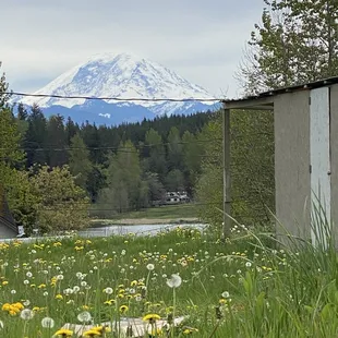 a view of a mountain