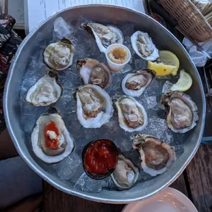 Dozen Fresh Oysters