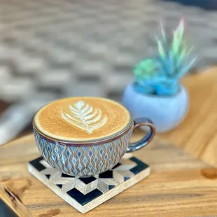 Black Dog Coffee Roasters
