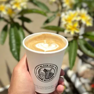 Black Dog Coffee Roasters