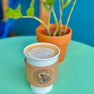 PB FIT LATTE-PEANUT BUTTER-HONEY