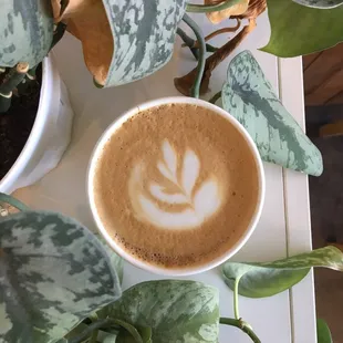 Snickers Latte