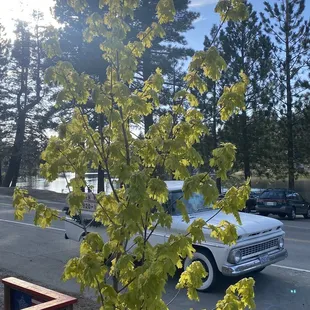 View from the stoop.