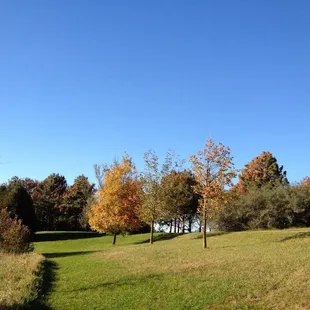 Looking towards the pin on hole 6.