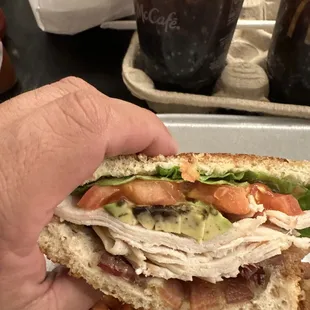 a person holding a turkey sandwich