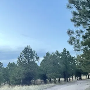 Easy evening 4 mile hike of paved DG trail