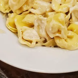 Pasta with white sauce