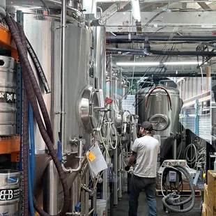 Over a dozen beers made on site. 2024 08 01.