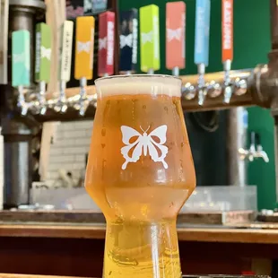 a glass of beer