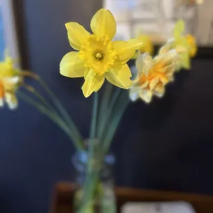 daffodils in a glass vase