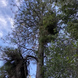 Beautiful spring day