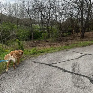 Black Hoof Park trailhead
