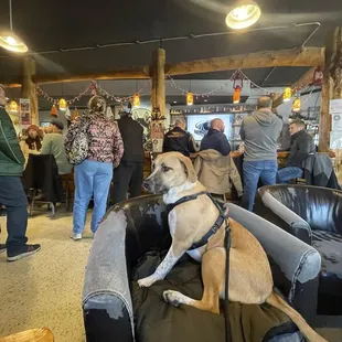 Black Friday at Black Husky