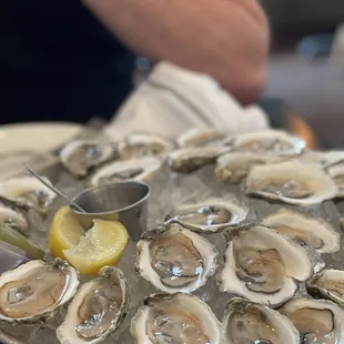 a platter of oysters with a lemon wedge