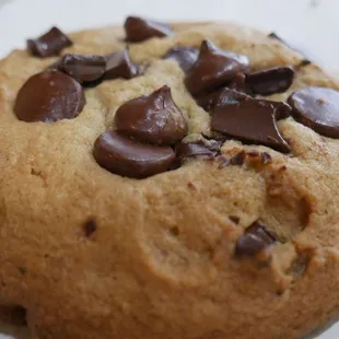 a chocolate chip cookie