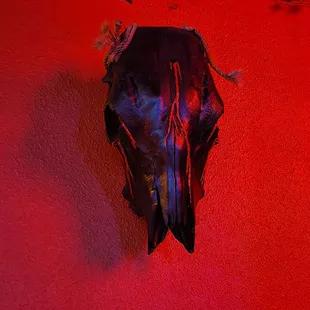 a skull hanging on a red wall