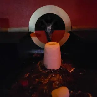 a cat sitting on top of a toilet