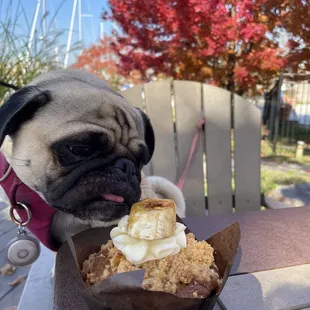Muffin taste tester