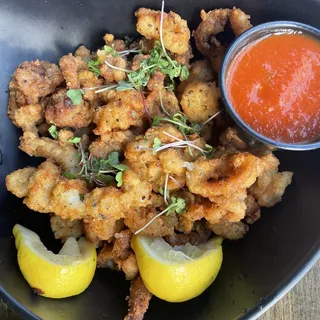 Calamari