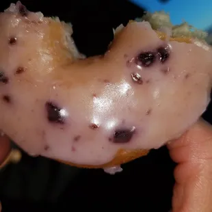 1/28/2019 black mesa blueberry donut