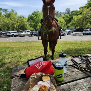Negro Bar is a great lunch spot for horse and woman :D  4-22-2023